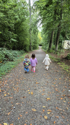 Im Wald